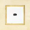 Hedgehog - Image 3