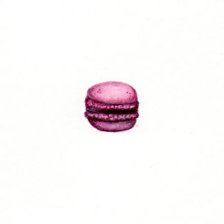 Blueberry Macaron