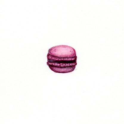 Blueberry Macaron