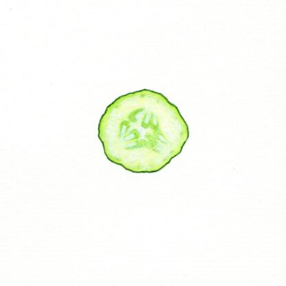 Cucumber