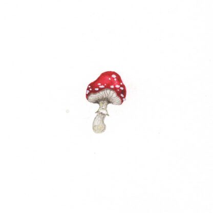 Red Mushroom