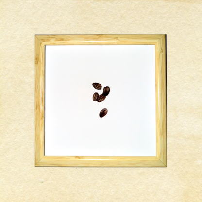 Coffee Beans - Image 3