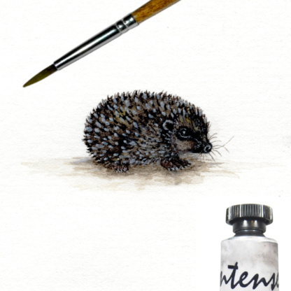 Hedgehog