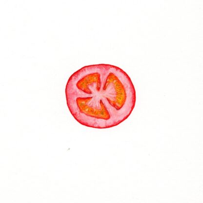 Tomato Slice