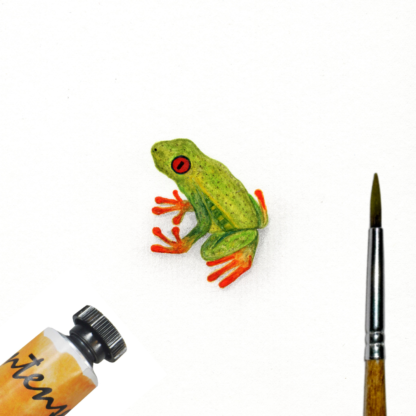 Red-Eyed Tree Frog