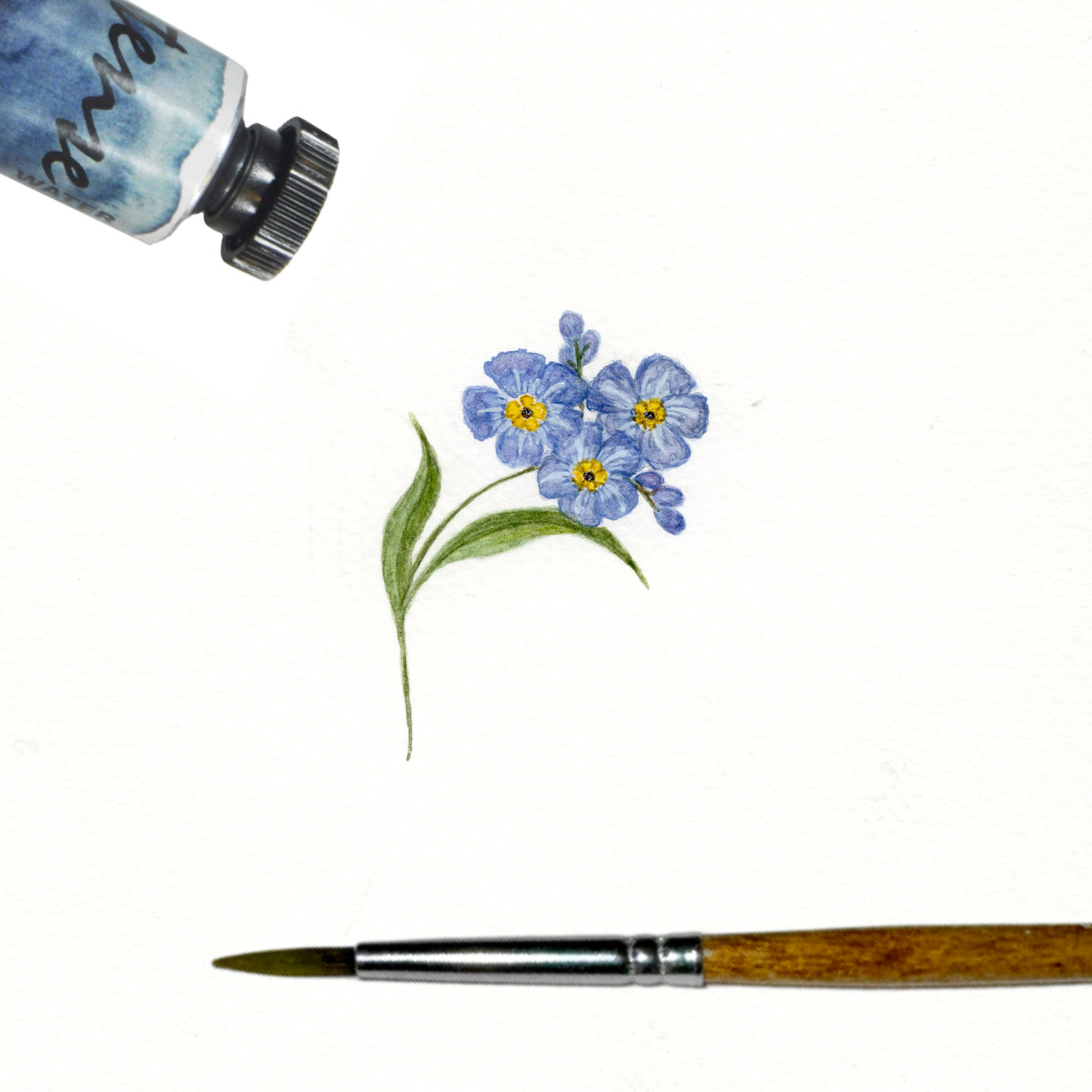 Forget Me Not Flowers
